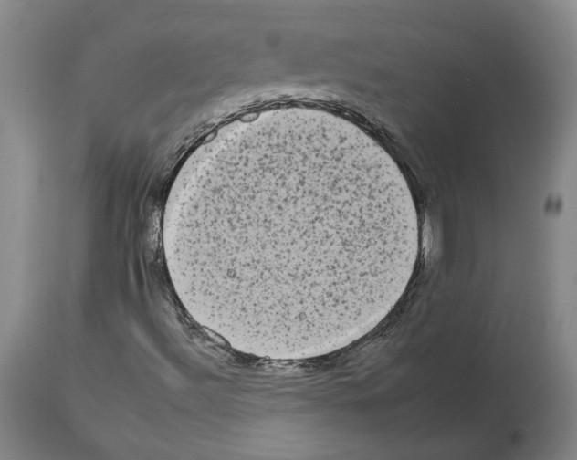 X0000112931492200910051119