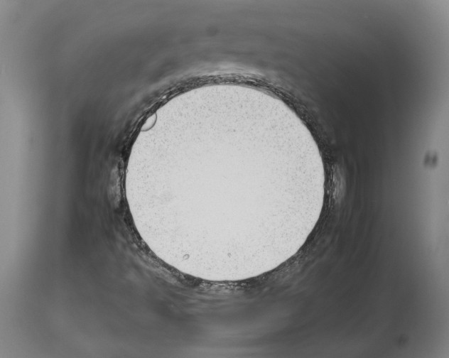 X0000112931493200910051119