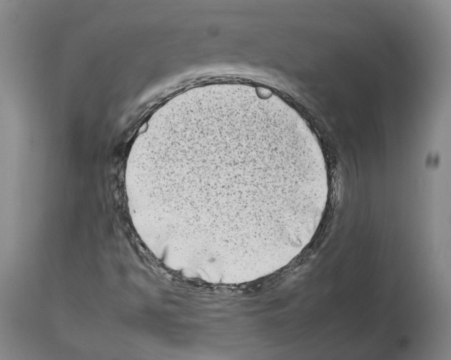 X0000112931494200910051119