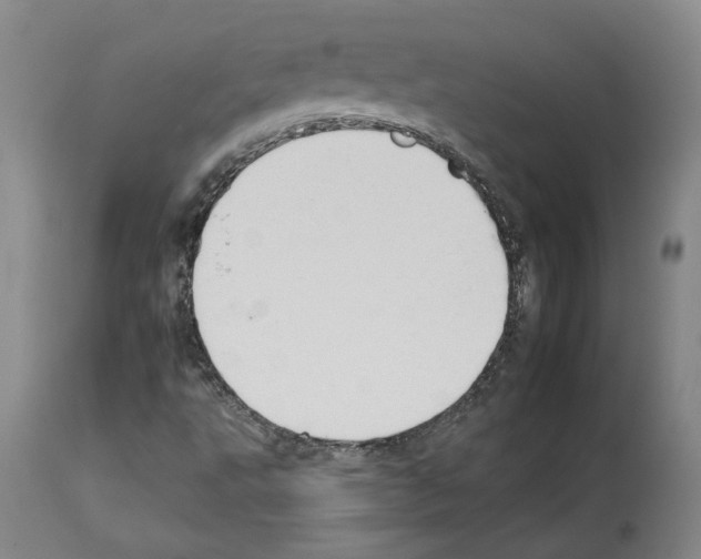 X0000112931495200910051119