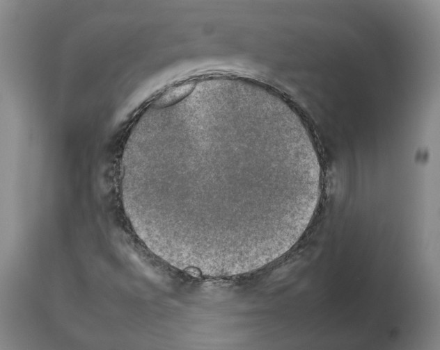 X0000112931496200910051119