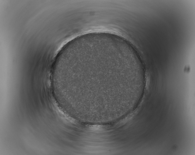 X0000112931497200910051119