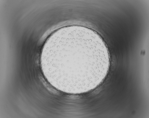 X0000112931499200910051119