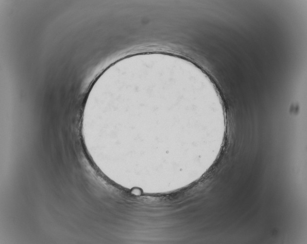 X0000112931500200910051119