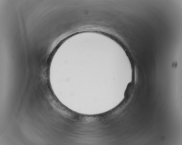 X0000112931501200910051119
