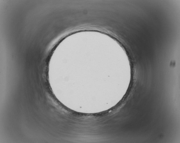 X0000112931502200910051119