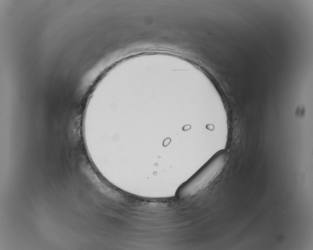 X0000112931503200910051119