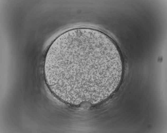 X0000112931504200910051119