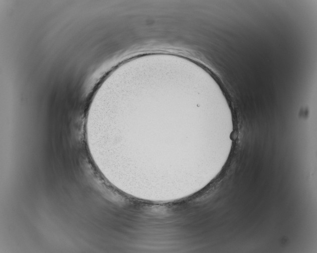 X0000112931507200910051119