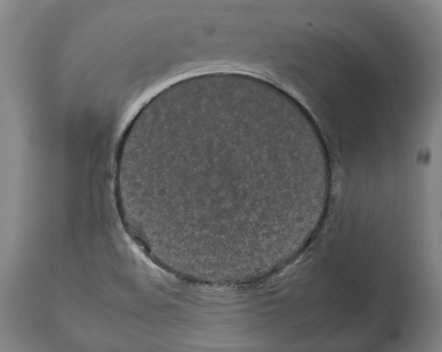 X0000112931508200910051119