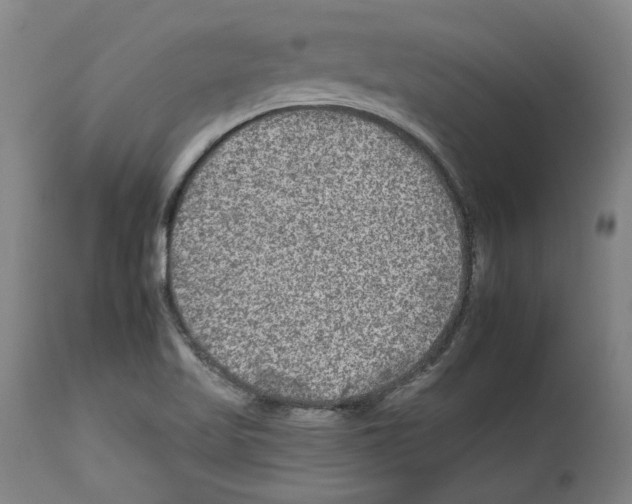 X0000112931509200910051119