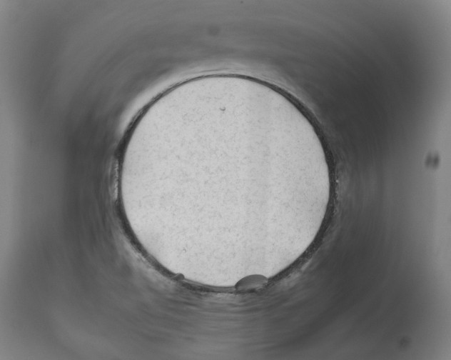 X0000112931510200910051119