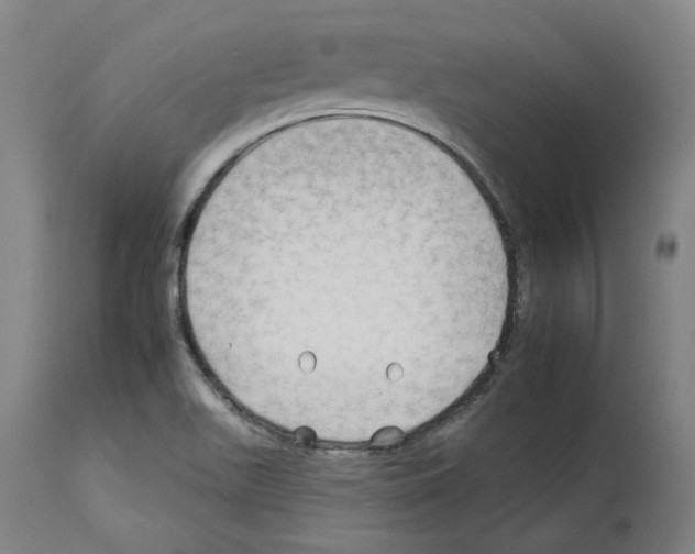 X0000112931511200910051119