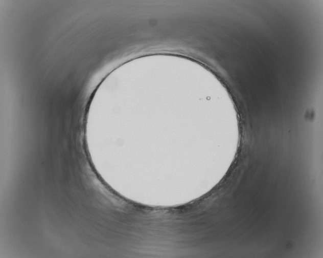 X0000112931512200910051119