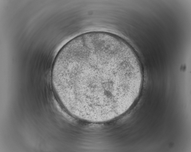 X0000112931513200910051119