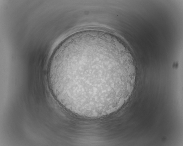 X0000112931514200910051119