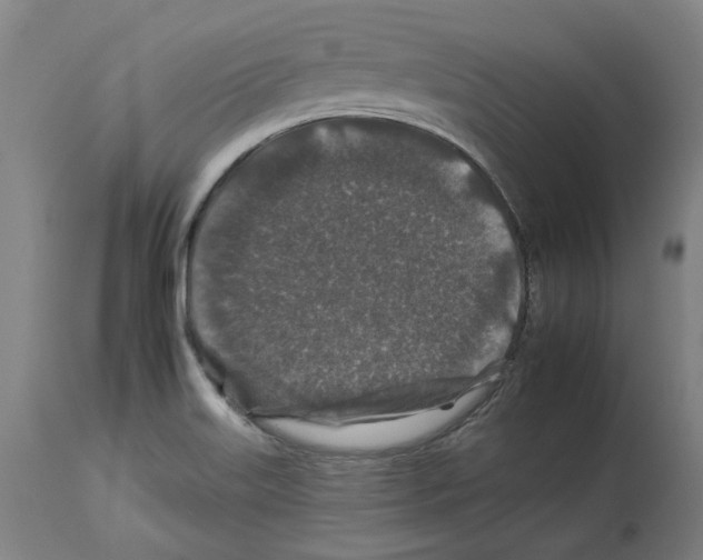 X0000112931515200910051119