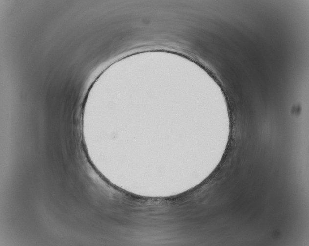 X0000112931516200910051120