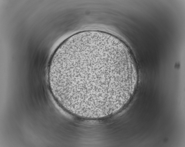 X0000112931517200910051120