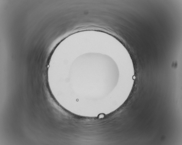 X0000112931518200910051120