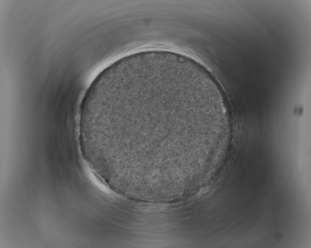X0000112931519200910051120
