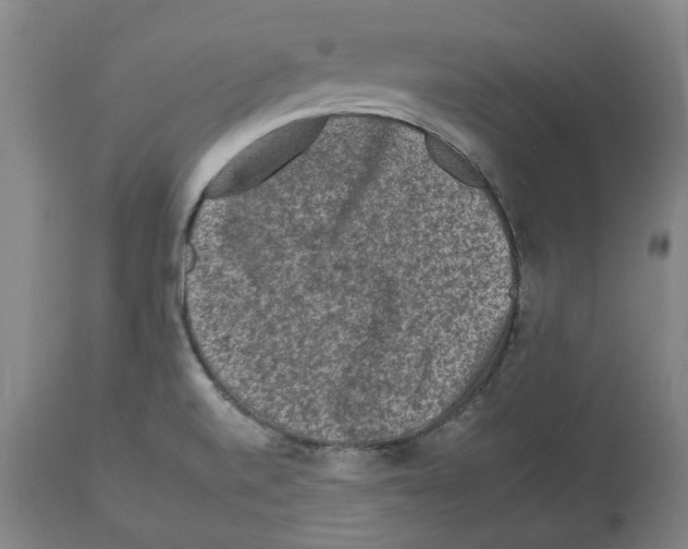 X0000112931520200910051120