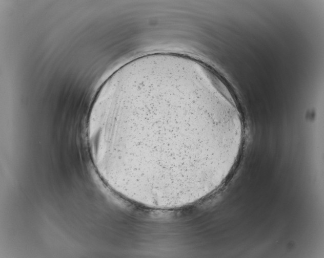 X0000112931521200910051120