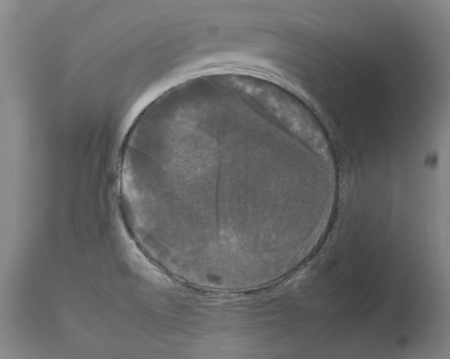 X0000112931522200910051120