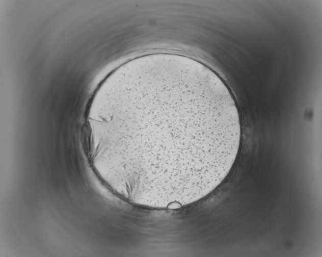 X0000112931523200910051120