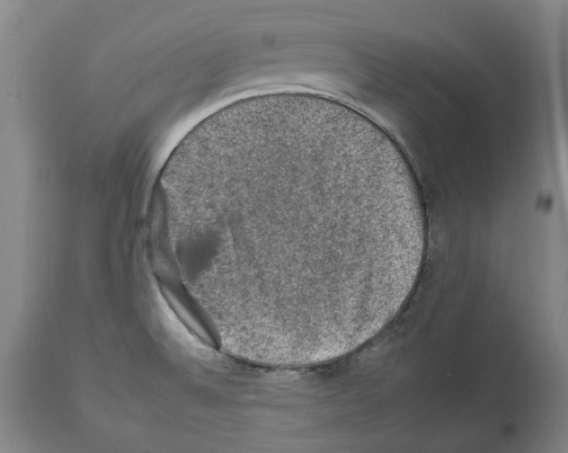 X0000112931524200910051120