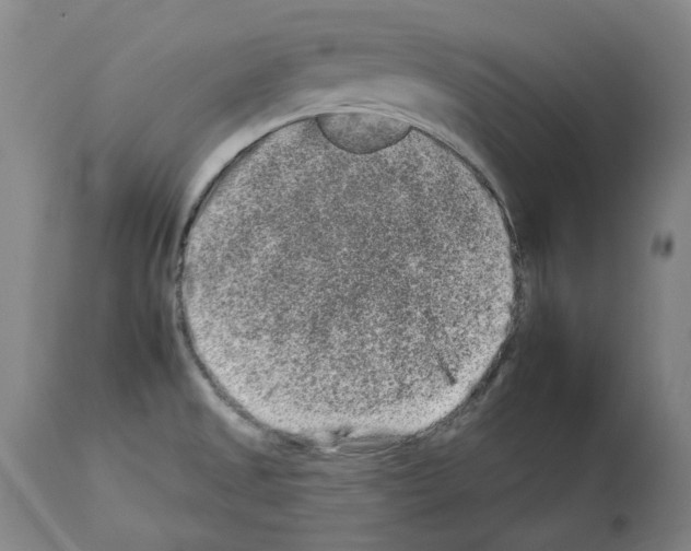 X0000112931525200910051120