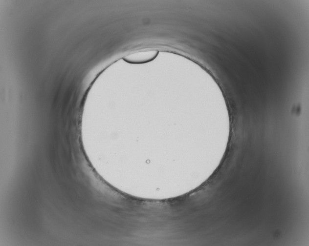 X0000112931526200910051120