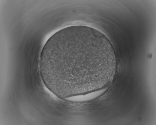 X0000112931527200910051120