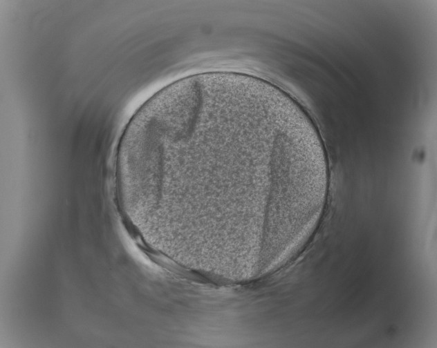 X0000112931528200910051120