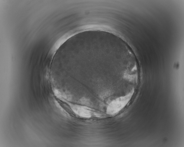X0000112931529200910051120