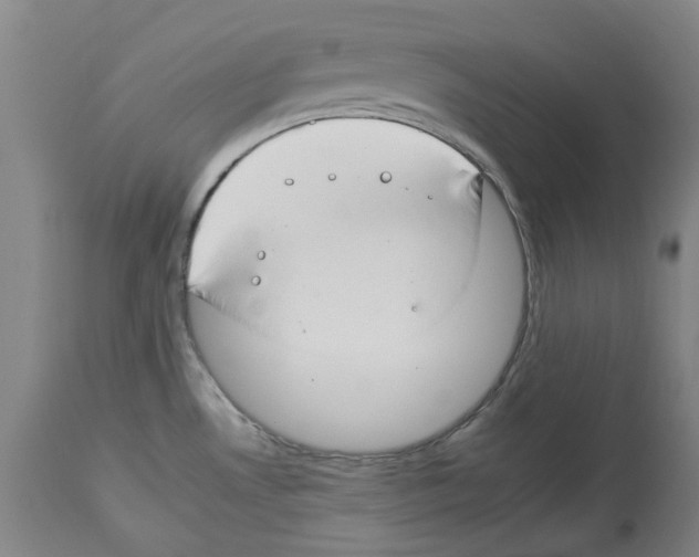 X0000112931530200910051120