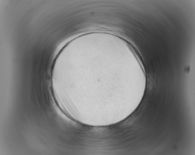 X0000112931531200910051120
