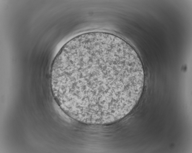 X0000112931532200910051120