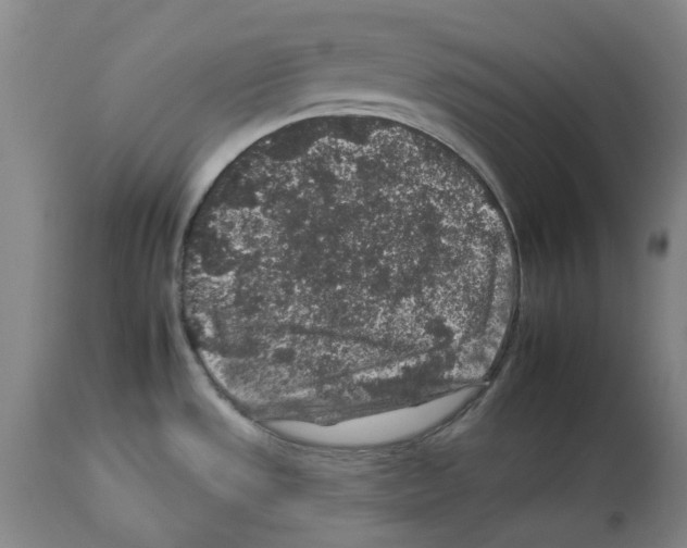X0000112931533200910051120