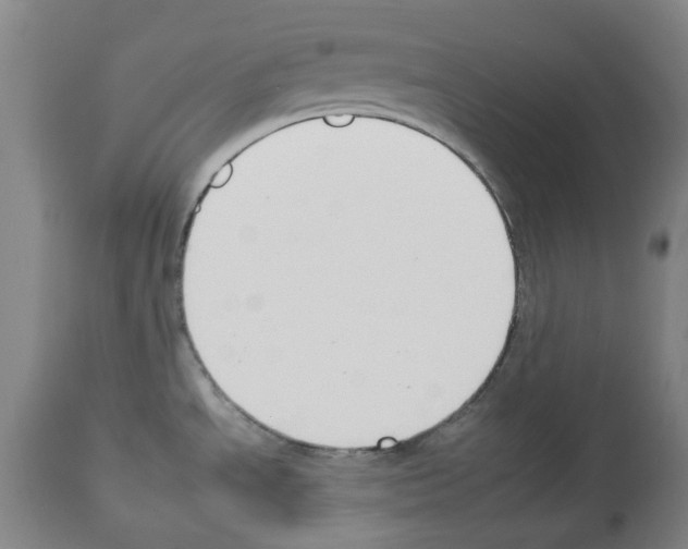 X0000112931534200910051120