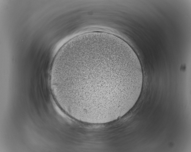X0000112931535200910051120