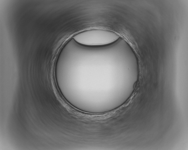 X0000112940001200908241016