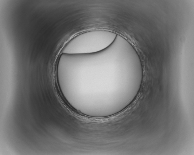 X0000112940002200908241016