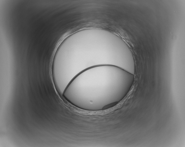 X0000112940003200908241016