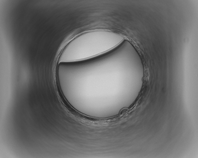 X0000112940004200908241016