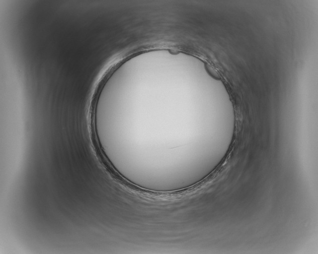 X0000112940006200908241016