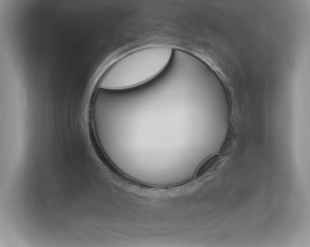 X0000112940007200908241016