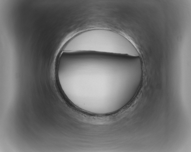 X0000112940008200908241016