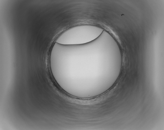 X0000112940010200908241016