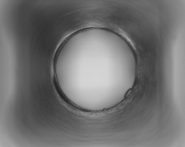X0000112940011200908241016
